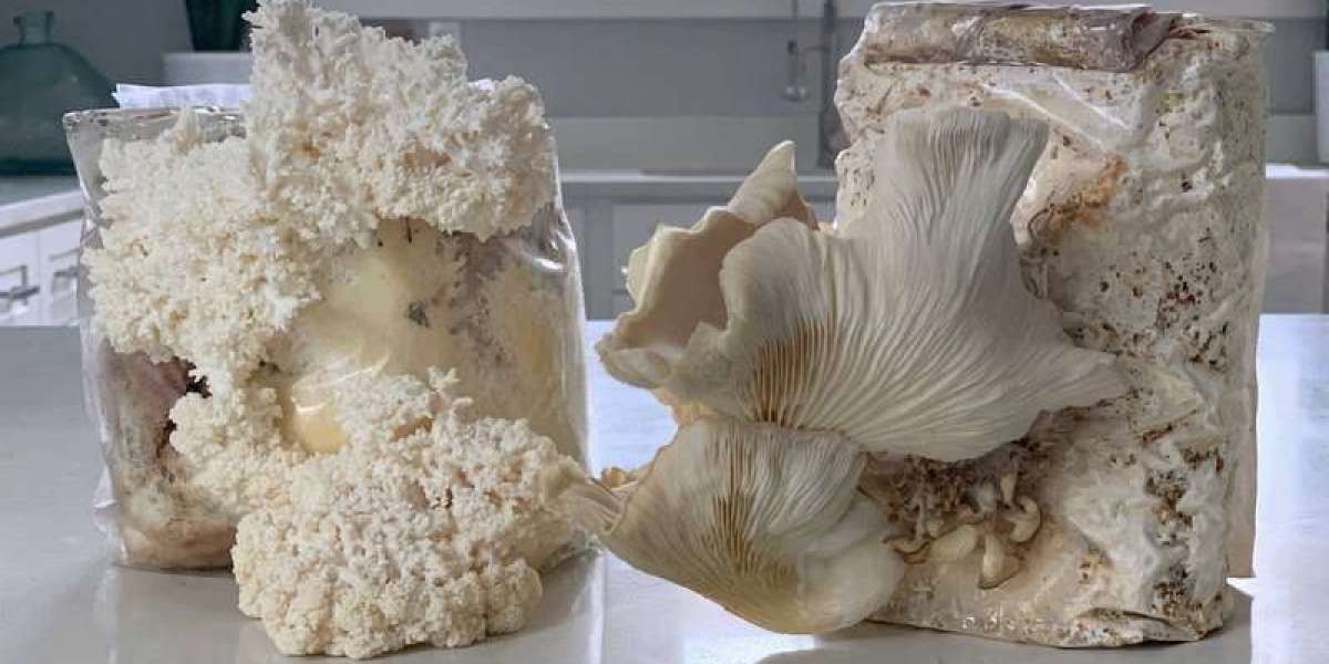 Components of a DIY Mushroom Grow Kit