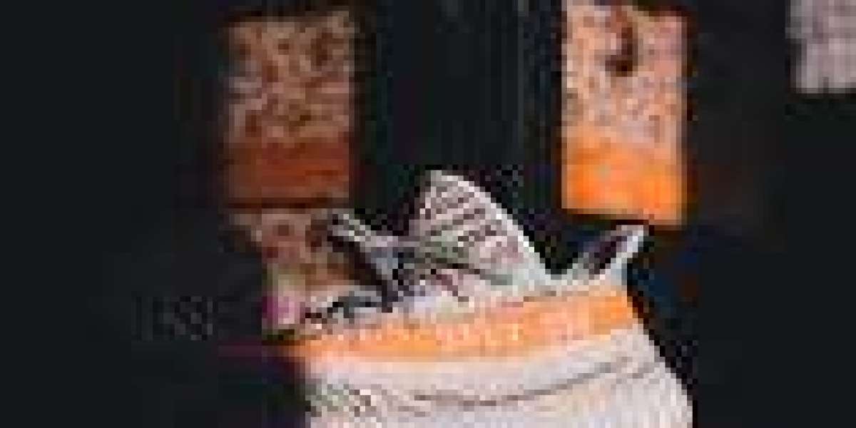 探索Yeezy鞋子系列的多樣魅力