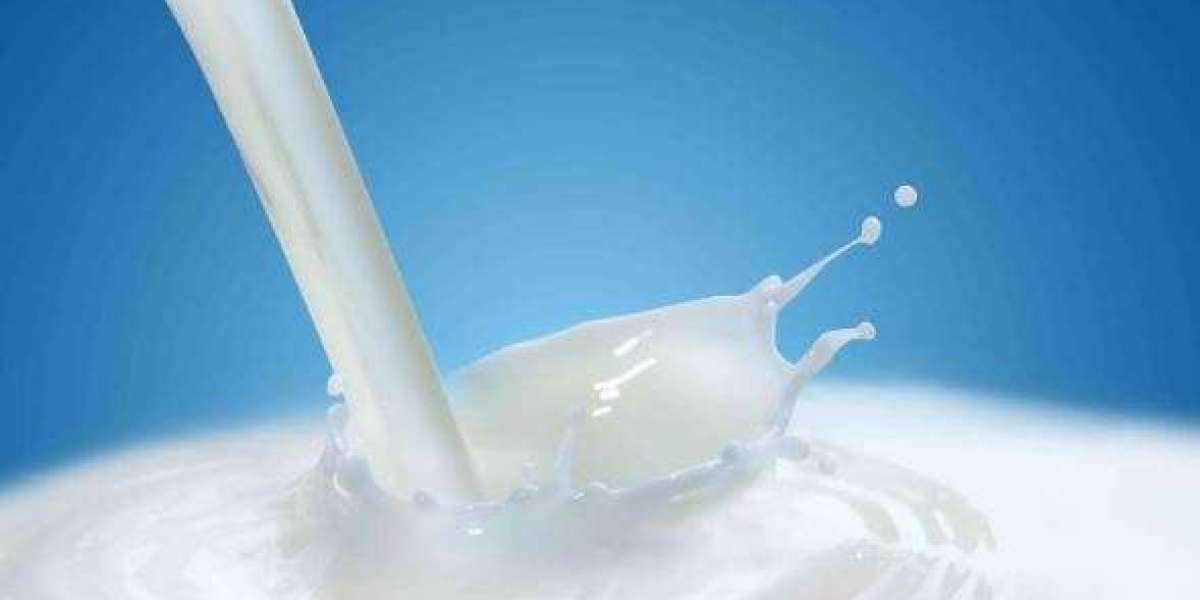 Milk Depot: Revolutionizing Milk Alternatives with Innovation