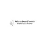 whitedewflower Profile Picture