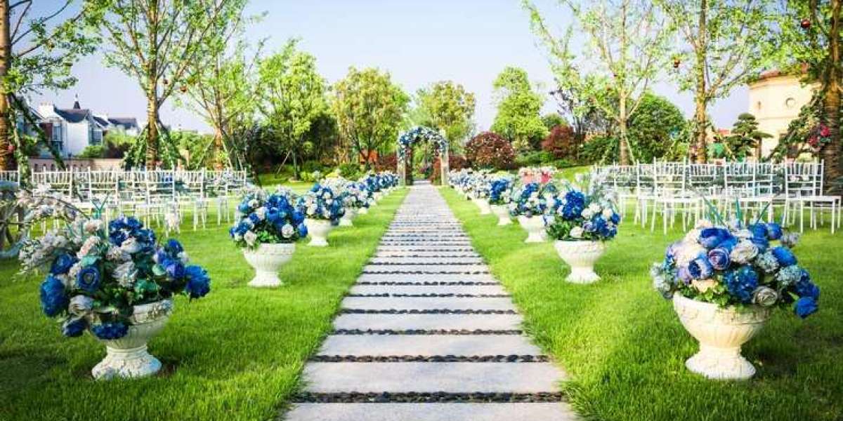 Outdoor Wedding Decoration Packages for a Scenic Ceremony