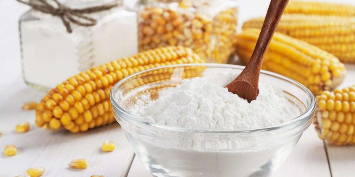 Global Native Corn Starch Market Size: Share, Growth, Trends, and Future Insights by 2032