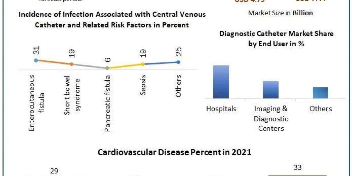 Diagnostic Catheter Market Growth, Industry Trend And  Regional Forecast to 2030