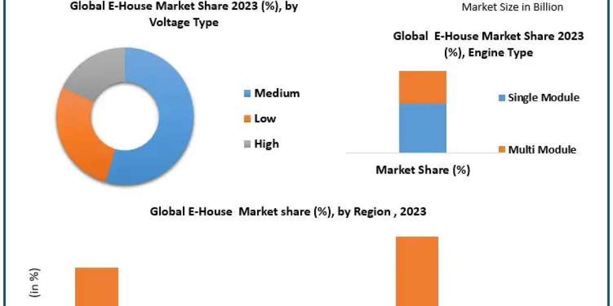 E-House Market Insights: Rising Demand and Forecasted Growth to 2030