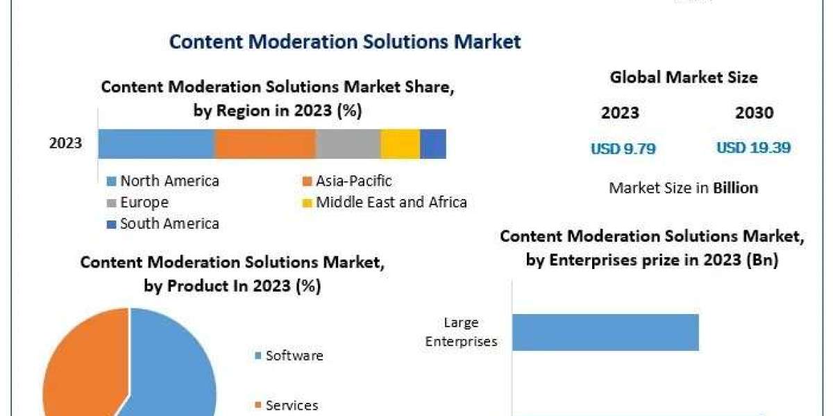 Content Moderation Solutions Market  Growth, Industry Trends and Future Opportunities for 2030