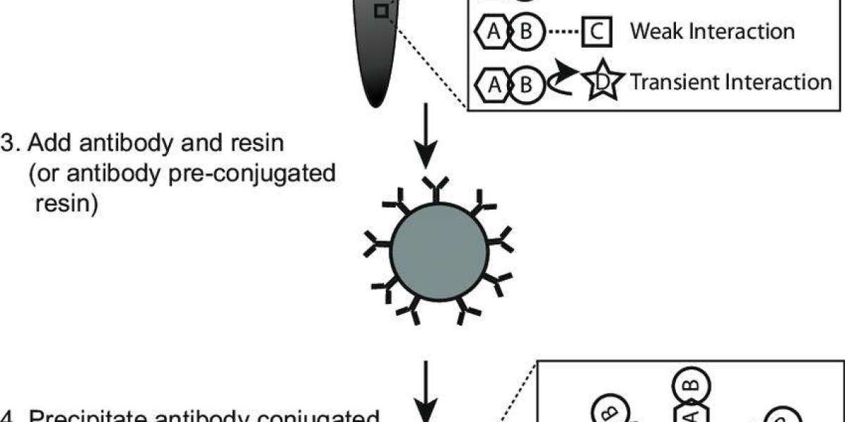 Co-Immunoprecipitation (Co-IP)