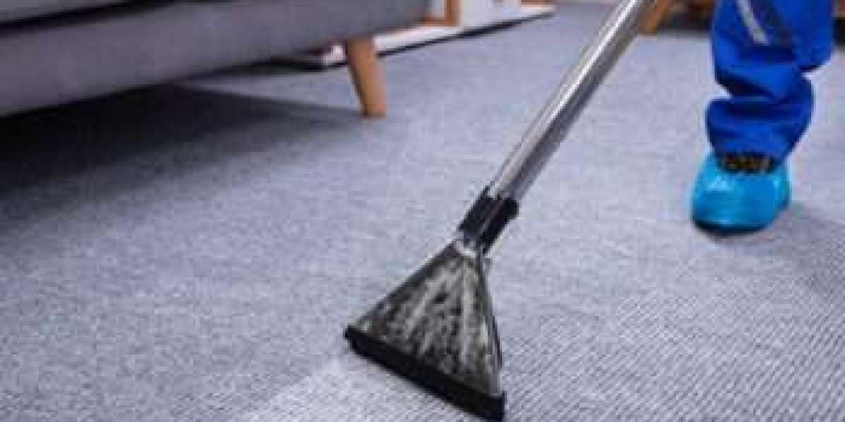 The Importance of Regular Carpet Cleaning Services for a Healthy Home