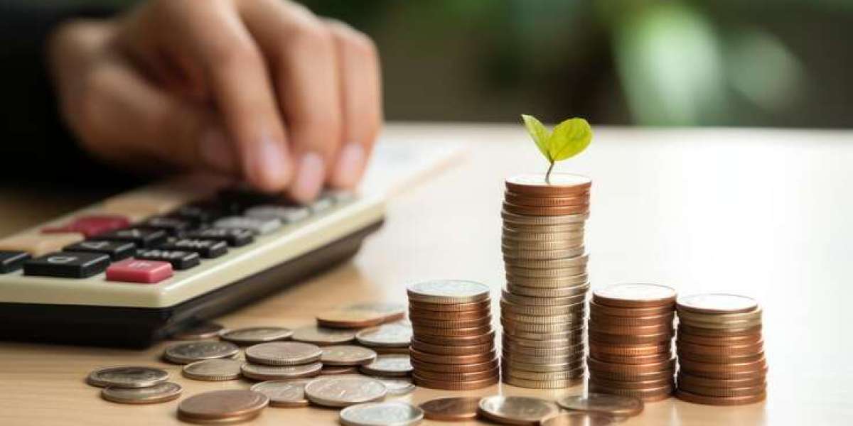 How to Maximize Your Financial Growth with The Right Mutual Funds Advisor in Delhi?