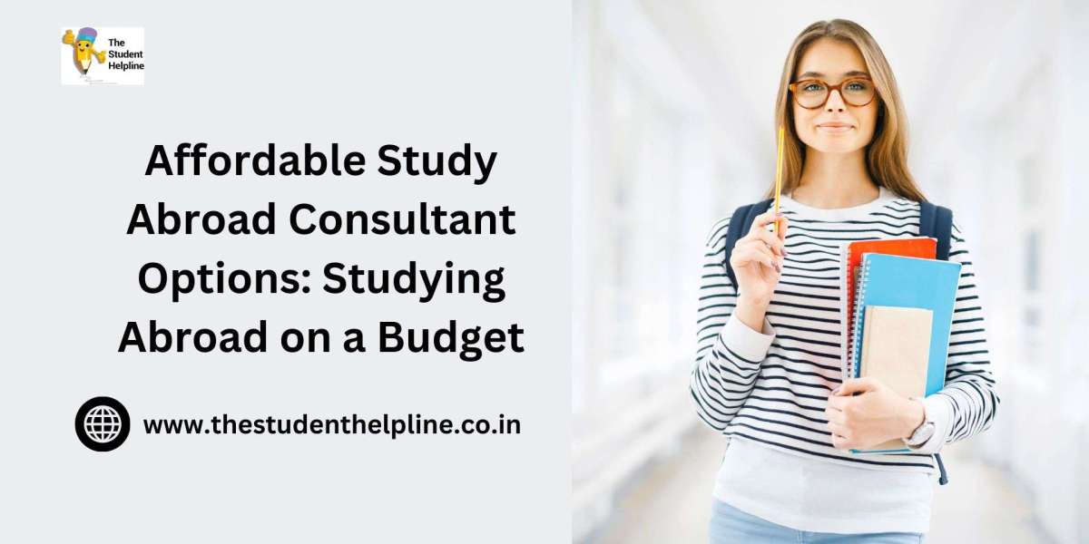 Affordable Study Abroad Consultant Options: Studying Abroad on a Budget