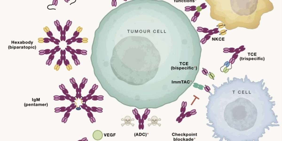 Alfa Cytology Launches Innovative Bladder Cancer Therapeutic Antibody Development Services