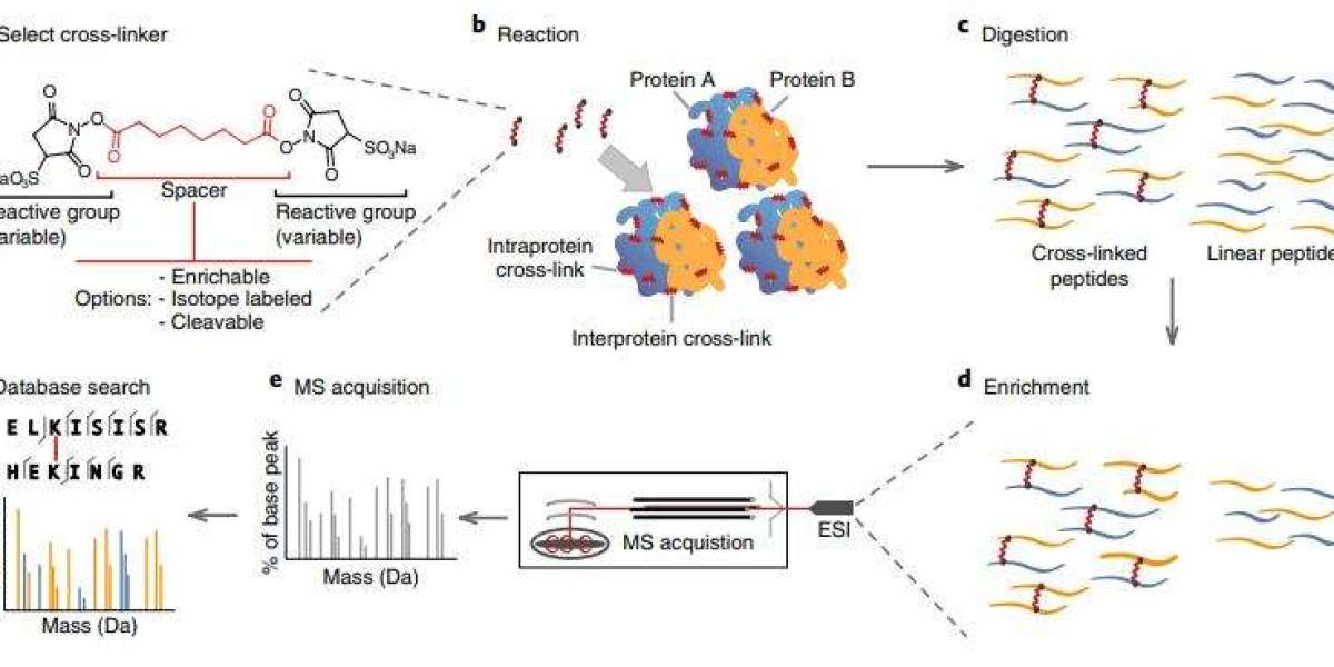 Chemical Crosslinking Mass Spectrometry Advantages and Process