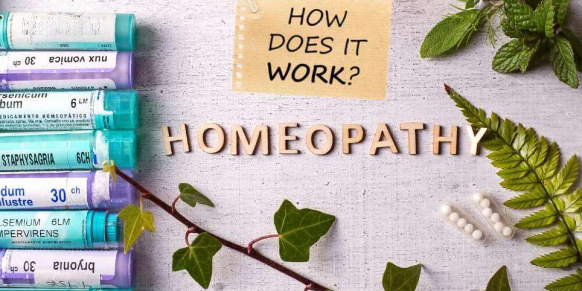 Homeopathy Doctors: Bridging Tradition and Modern Healthcare