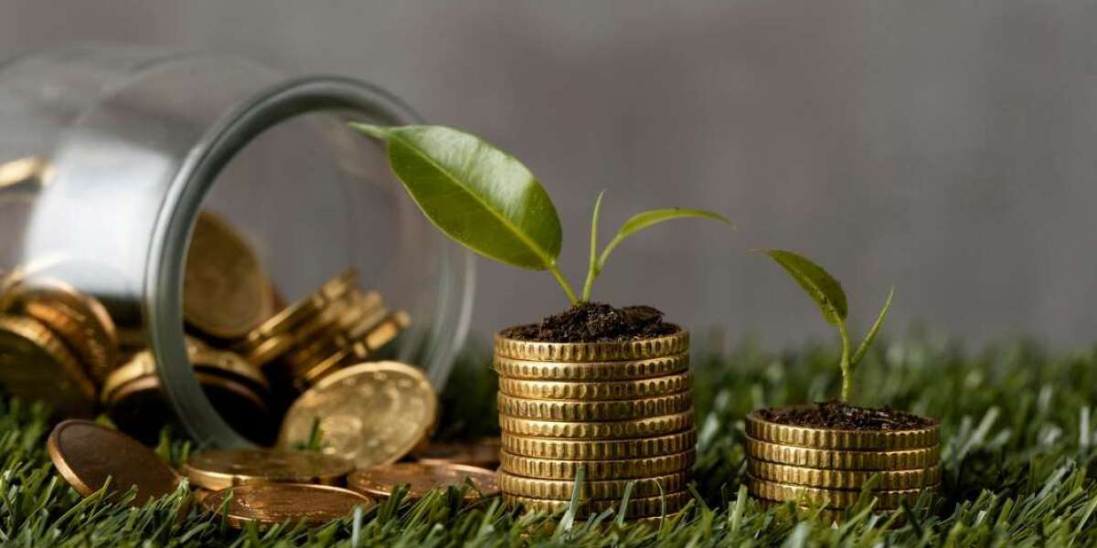 Does the Best Mutual Fund Distributor in Faridabad Offer Equity Funds?